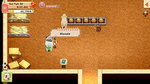 Harvest Moon: Light of Hope (GB) — Collector's Edition