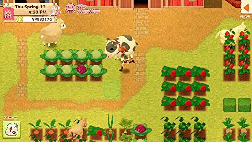 Harvest Moon: Light of Hope (GB) — Collector's Edition