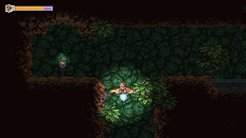 Owlboy — Limited Edition
