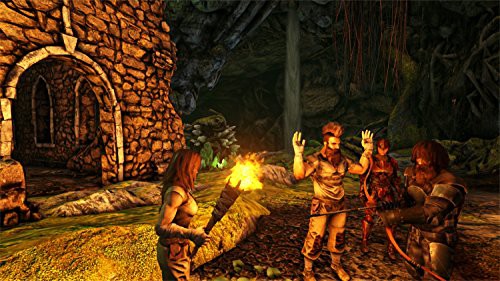 ARK: Survival Evolved (DE)