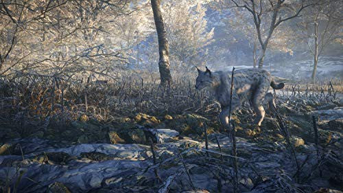 The Hunter: Call of the Wild - Edition 2019