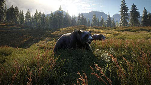 The Hunter: Call of the Wild - Edition 2019