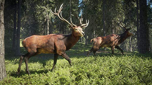The Hunter: Call of the Wild - Edition 2019
