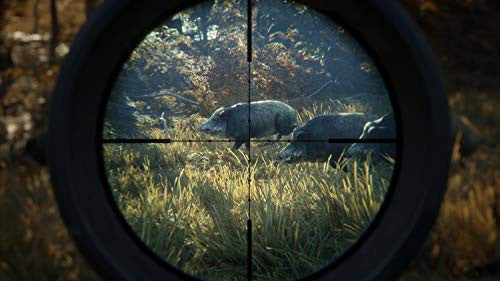 The Hunter: Call of the Wild - Edition 2019