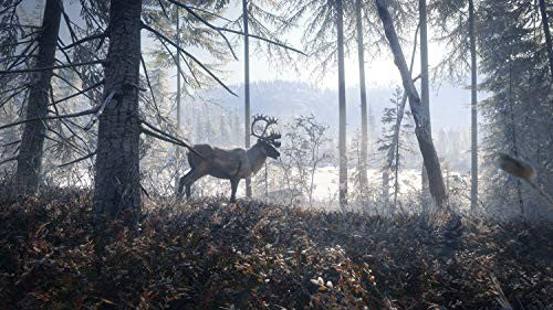 The Hunter: Call of the Wild - Edition 2019
