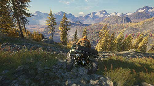 The Hunter: Call of the Wild - Edition 2019