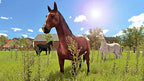 My Little Riding: Champion (DE)