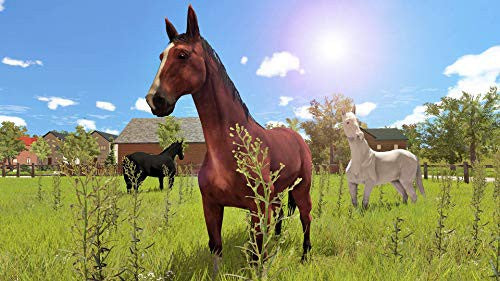 My Little Riding: Champion (DE)