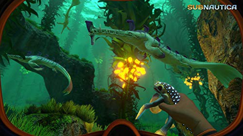 Subnautica (DE)