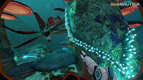 Subnautica (DE)