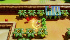 The Legend of Zelda: Link's Awakening (DE)