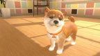 Little Friends: Dogs and Cats (DE)