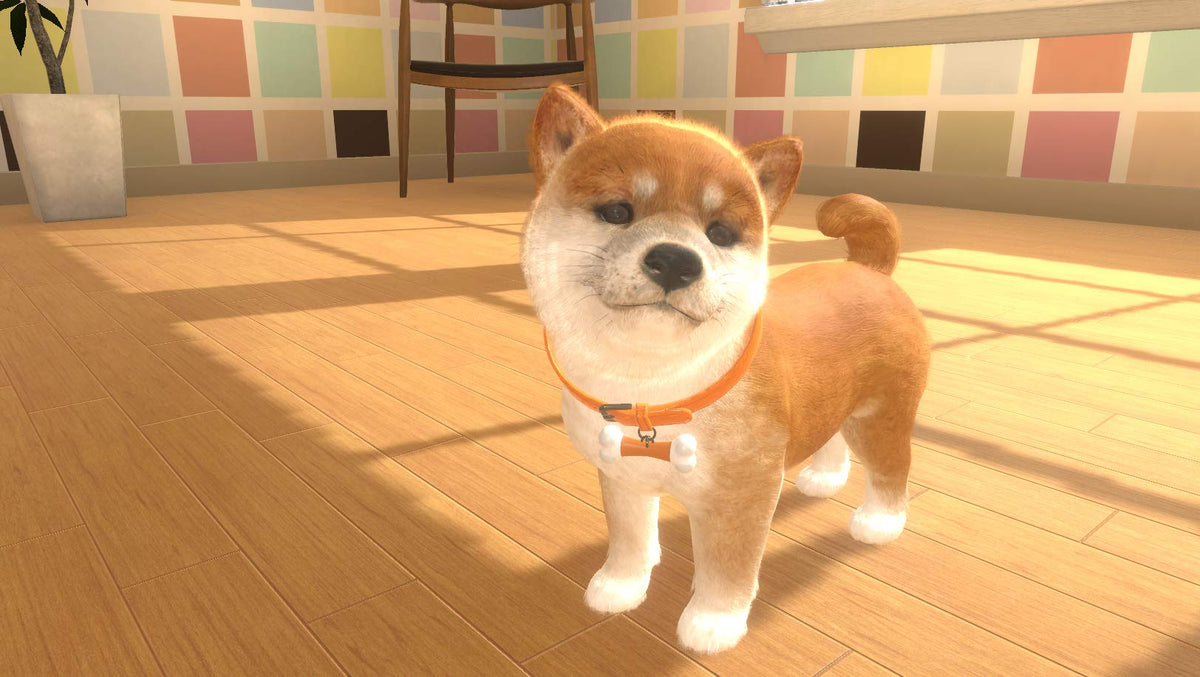 Little Friends: Dogs and Cats (DE)
