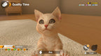 Little Friends: Dogs and Cats (DE)