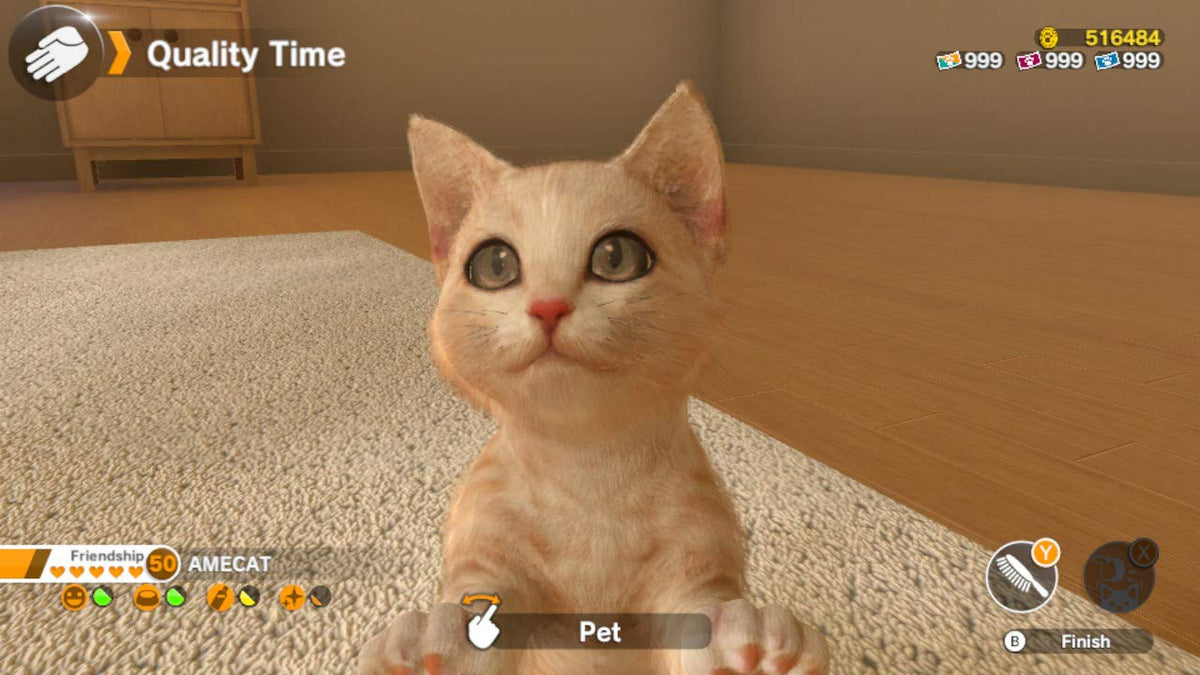 Little Friends: Dogs and Cats (DE)