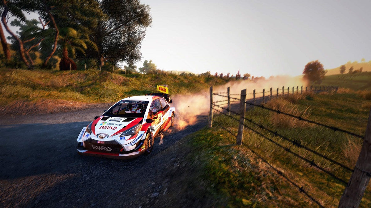 WRC 9 (DE)