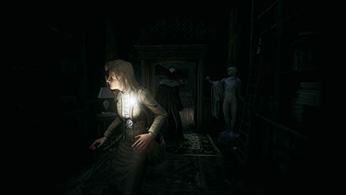 Remothered: Tormented Fathers (US)