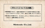 Donkey Kong Jr. (JP)
