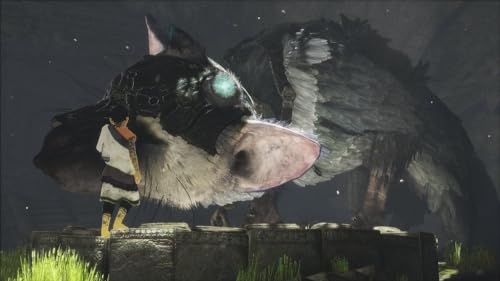 The Last Guardian (IT)