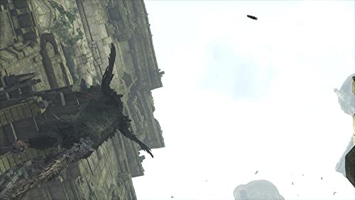 The Last Guardian (IT)