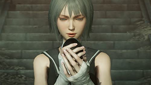 Final Fantasy Origin: Stranger of Paradise (DE)