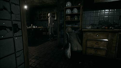 Remothered: Tormented Fathers (US)