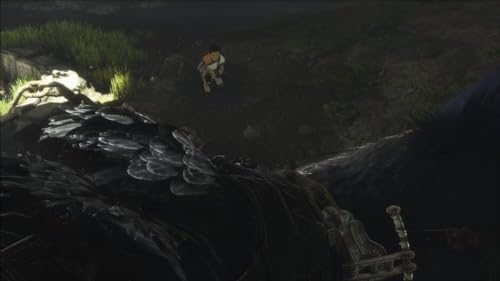 The Last Guardian (IT)