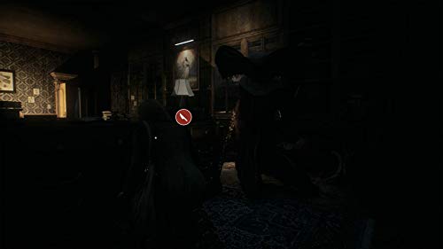 Remothered: Tormented Fathers (US)