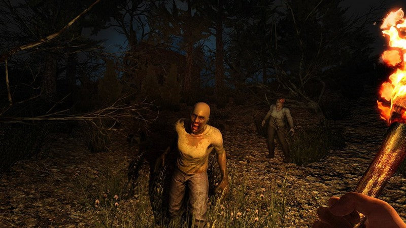 7 Days to Die (DE)