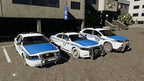 Police Simulator: Patrol Officers Extended Edition (DE)