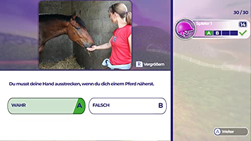Dein Erstes Pferd - Die Reitschule (DE)