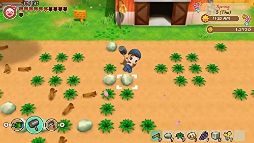 Story of Seasons: Friends of Mineral Town (DE)