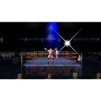 WWE SmackDown vs. RAW 2007 (DE) — Platinum