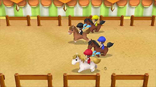 Story of Seasons: Friends of Mineral Town (DE)