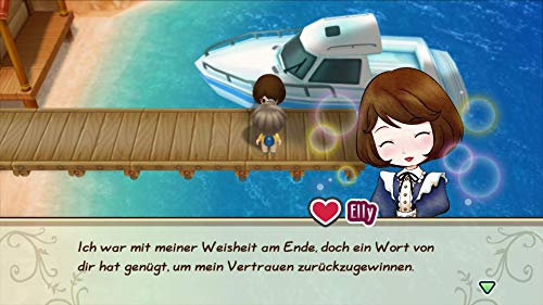 Story of Seasons: Friends of Mineral Town (DE)