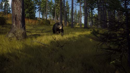 Way of the Hunter (DE)