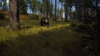 Way of the Hunter (DE)