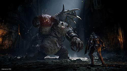 Demons Souls Remake (DE)