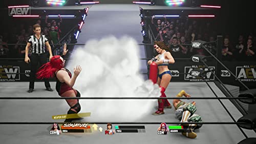 AEW: Fight Forever (DE)