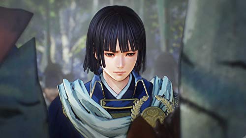 Samurai Warriors 5 (DE)