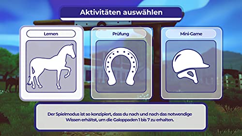 Dein Erstes Pferd: Die Reitschule (DE)
