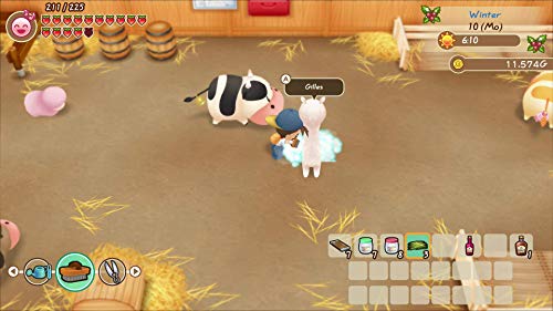 Story of Seasons: Friends of Mineral Town (DE)