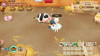 Story of Seasons: Friends of Mineral Town (DE)