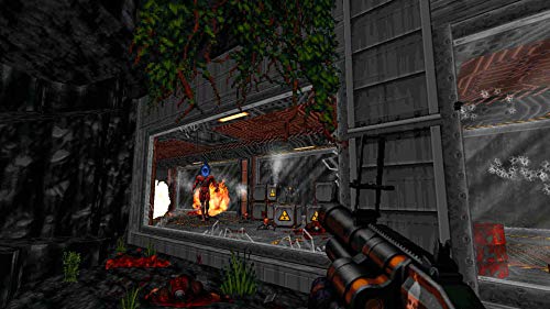 Ion Fury (DE)