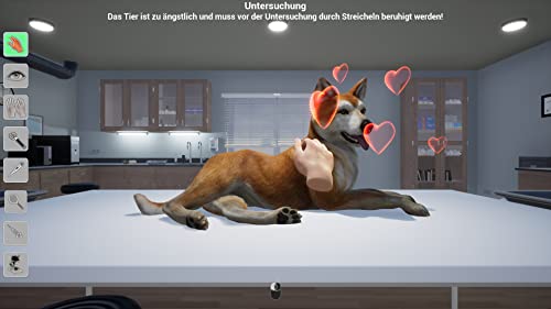Meine Tierarztpraxis: Hund, Katze, Nager und Co (DE)