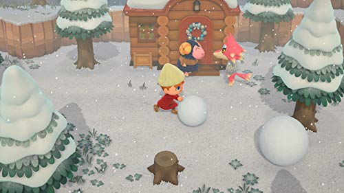 Animal Crossing: New Horizons (FR)