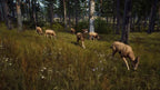 Way of the Hunter (DE)