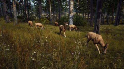 Way of the Hunter (DE)