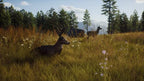 Way of the Hunter (DE)
