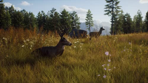 Way of the Hunter (DE)